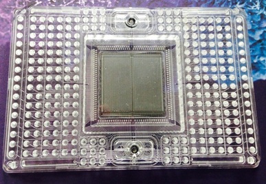 Fluidigm array for sequencing